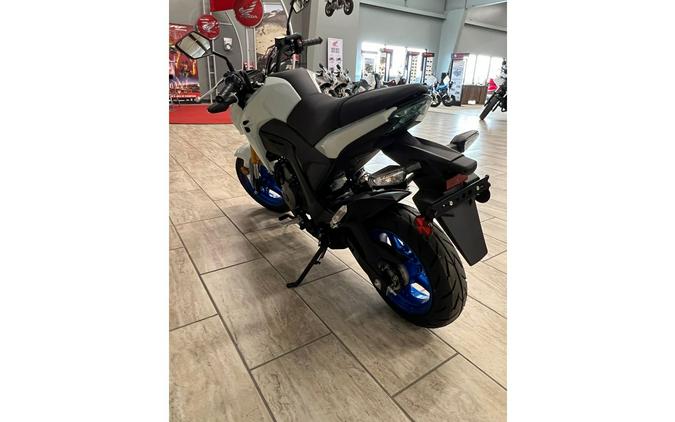 2026 Z125 PRO - Kawasaki
