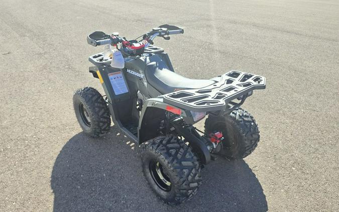 2026 Denago Powersports Mudhawk 10FI