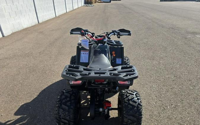 2026 Denago Powersports Mudhawk 10FI