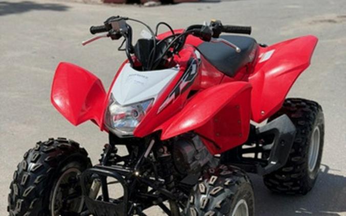 2019 Honda TRX 250X