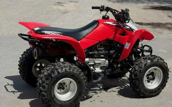 2019 Honda TRX 250X