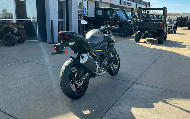 2026 Kawasaki Z500 ABS