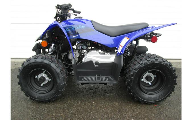 2024 Yamaha YFZ50 Youth