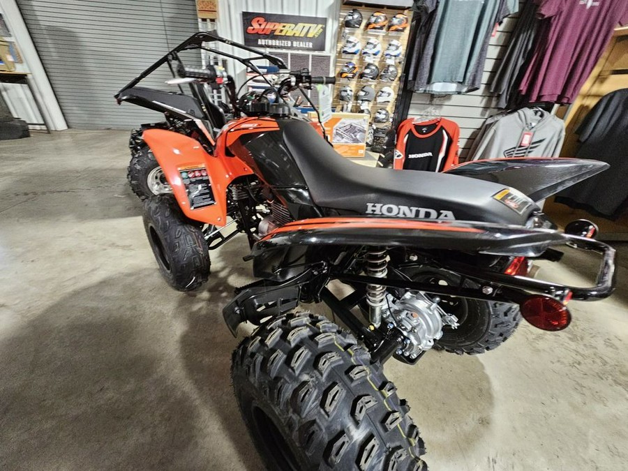 2024 Honda TRX 250X