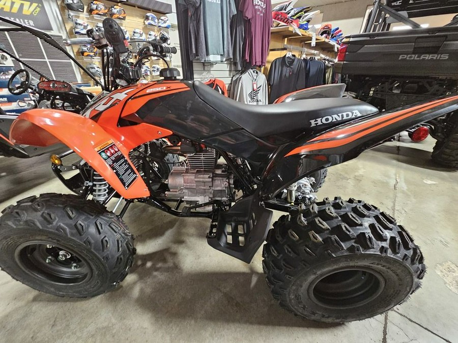 2024 Honda TRX 250X