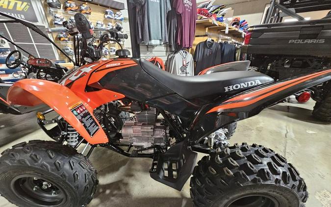 2024 Honda TRX 250X