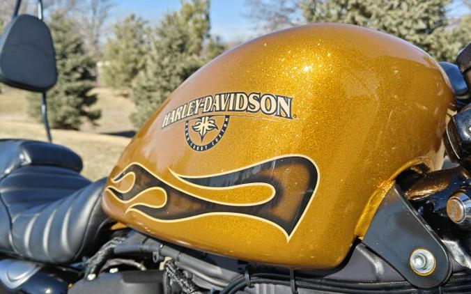 2016 Harley-Davidson Iron 883 Hard Candy Custom™ Gold Flake