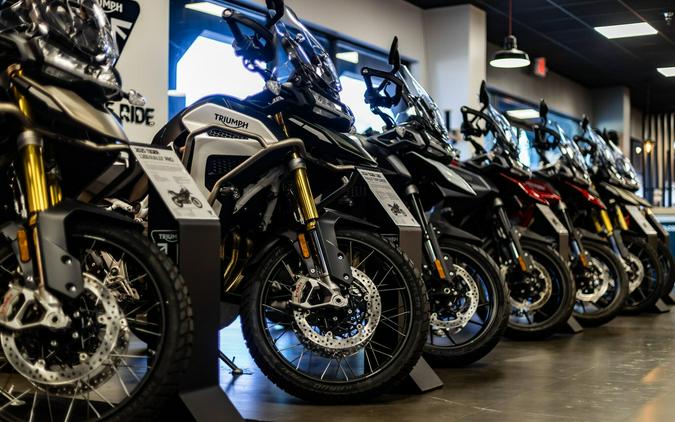 2025 Triumph Tiger 1200 GT Pro