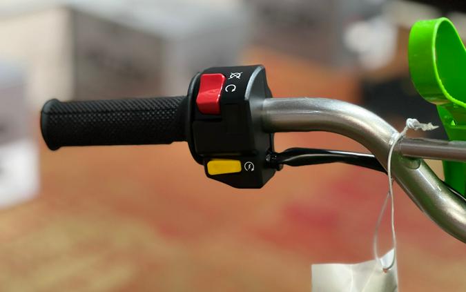 2026 Kawasaki KLX 110R