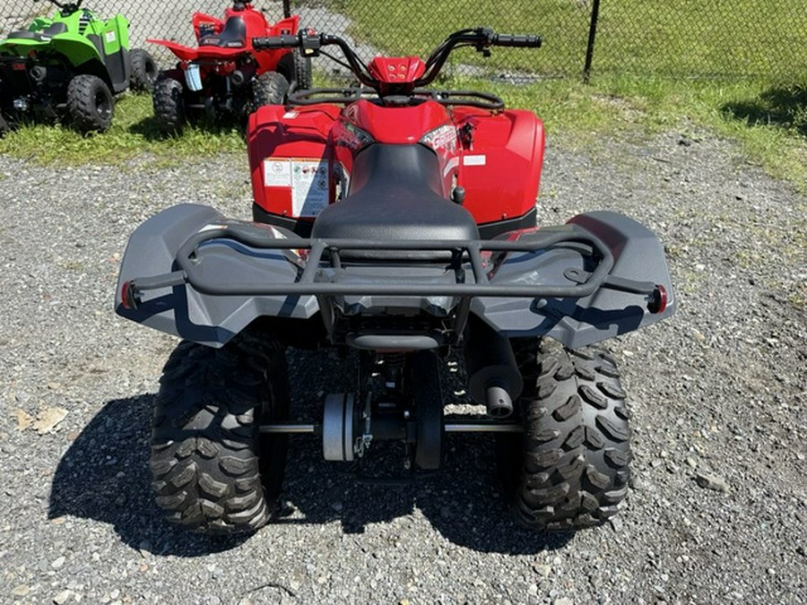 2025 Yamaha Grizzly 110