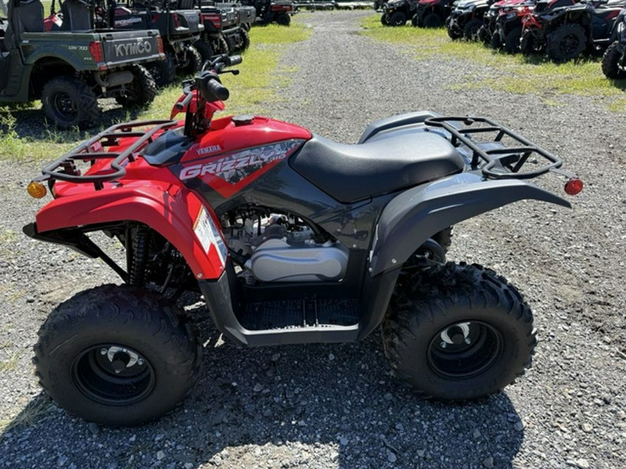 2025 Yamaha Grizzly 110