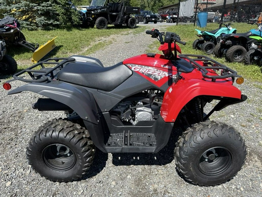 2025 Yamaha Grizzly 110