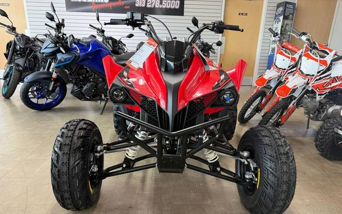 2026 Kayo Storm 300