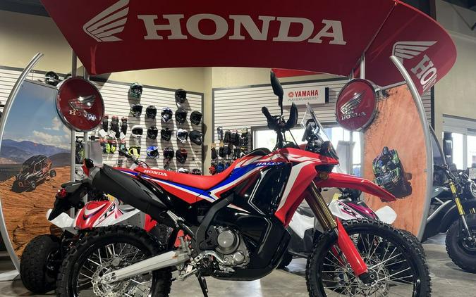 2024 Honda® CRF300L Rally