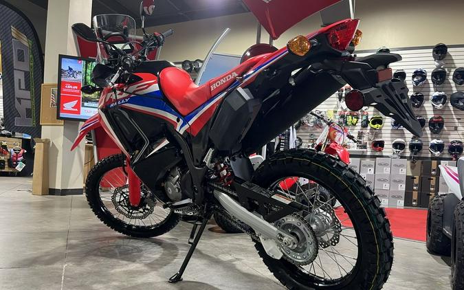 2024 Honda® CRF300L Rally