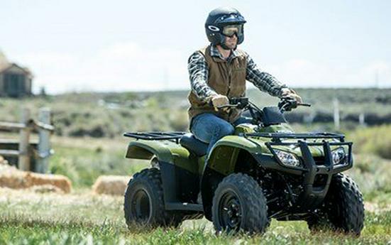 2017 Honda FourTrax Recon ES