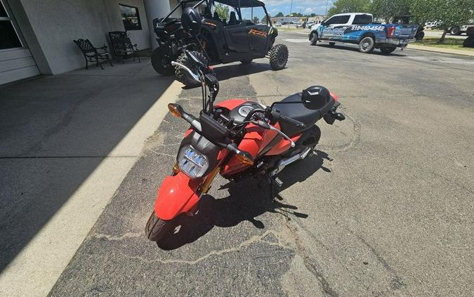 2025 Honda Grom™ Base