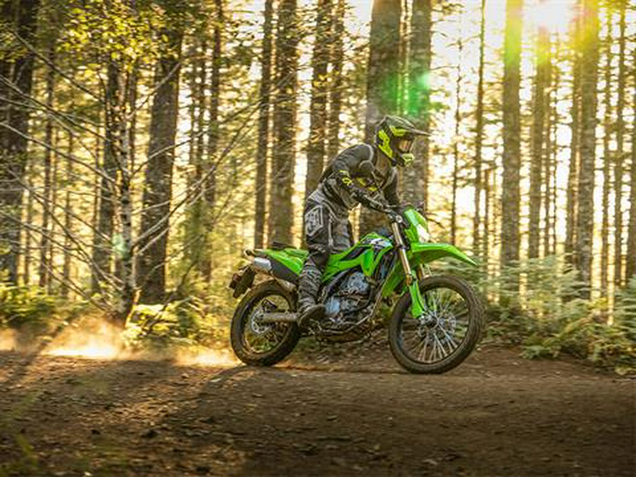 2024 Kawasaki KLX 300