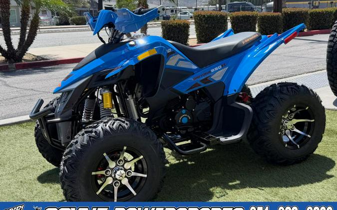 2025 Denago Powersports Daytona 250 FI