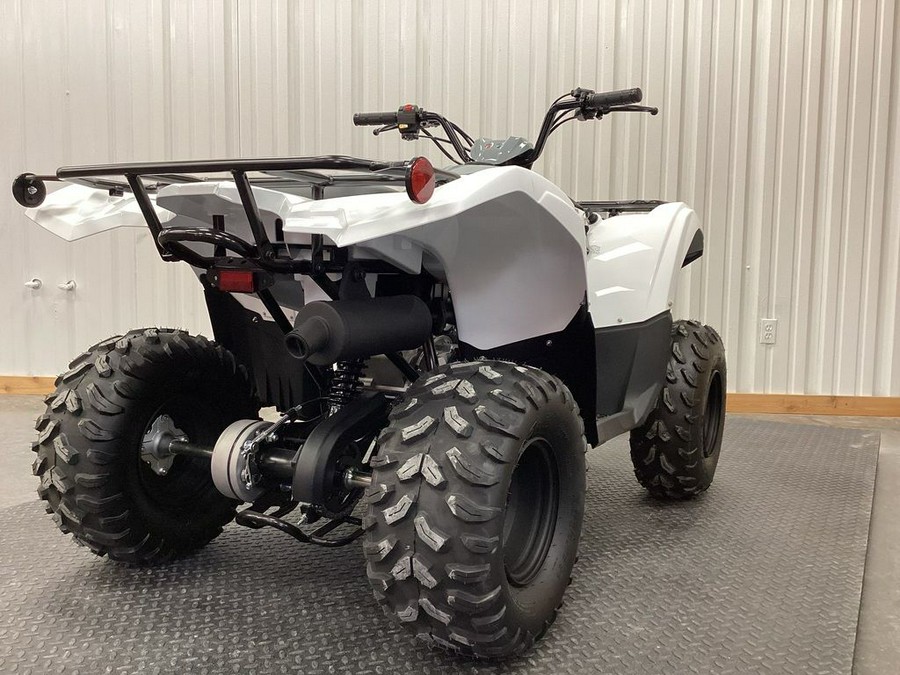 2024 Yamaha Grizzly 90