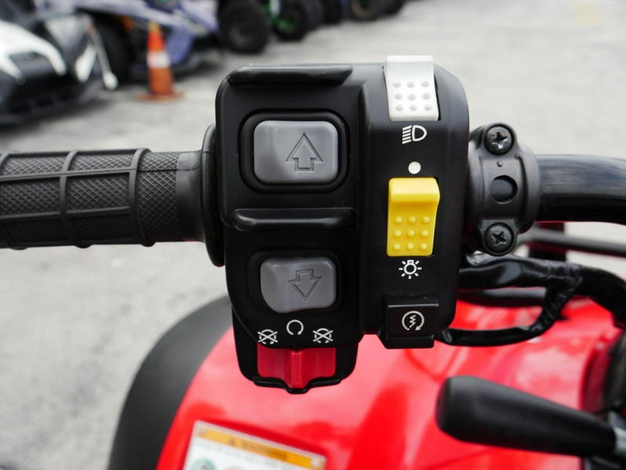 2023 Honda® FourTrax Rincon