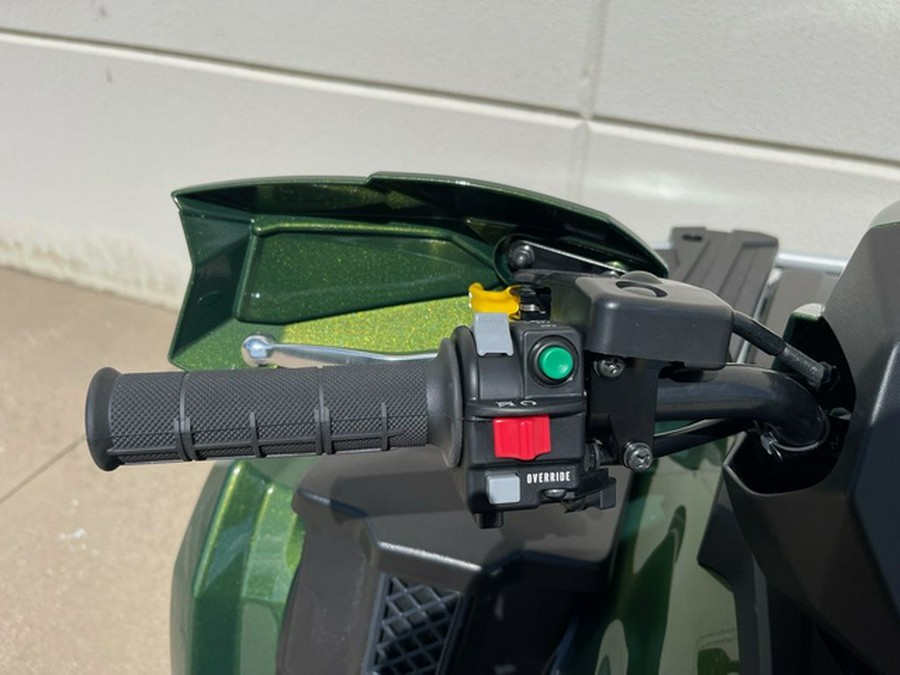 2026 Kawasaki Brute Force 750 SE EPS