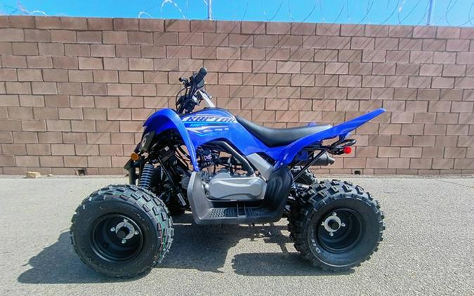 2026 Yamaha Raptor 110