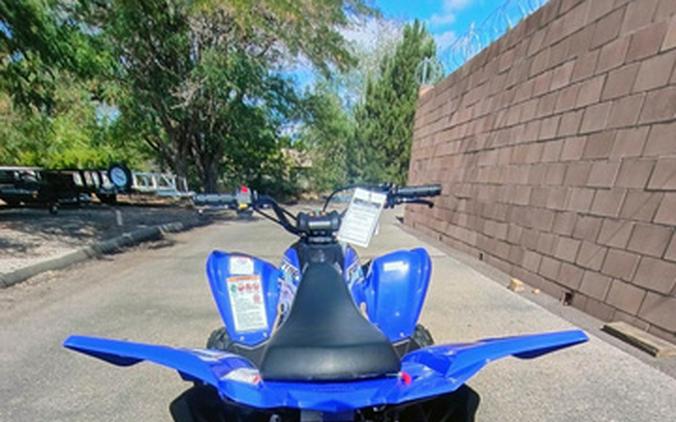 2026 Yamaha Raptor 110