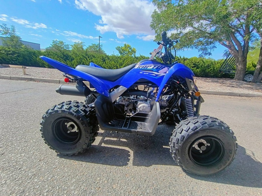 2026 Yamaha Raptor 110