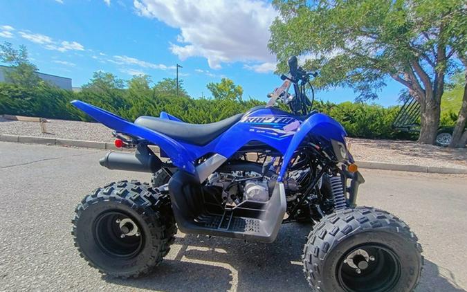 2026 Yamaha Raptor 110