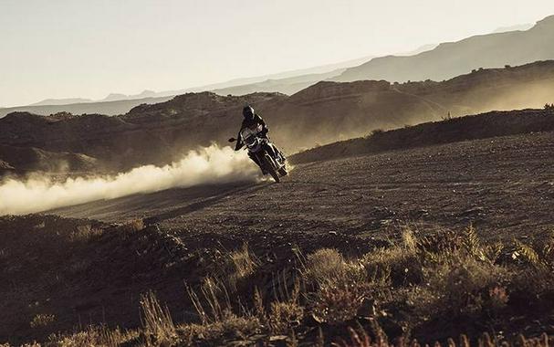 2025 Triumph Tiger 900 Rally Pro