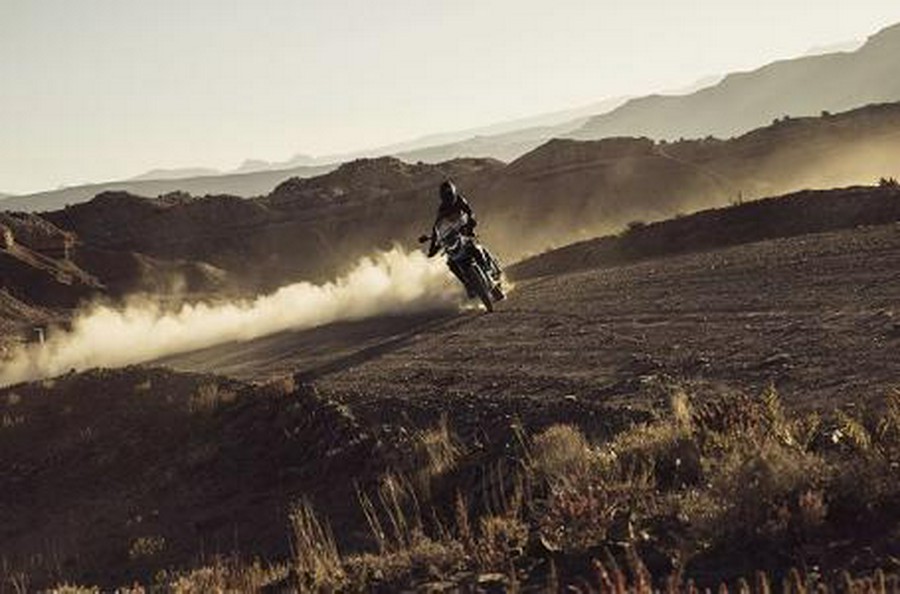 2025 Triumph Tiger 900 Rally Pro