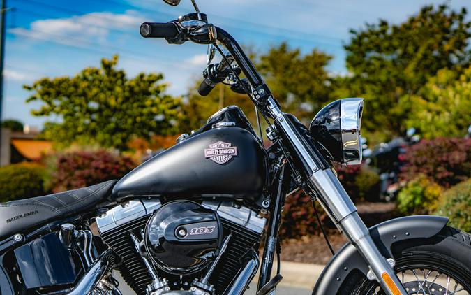 FLS 2017 Softail Slim®