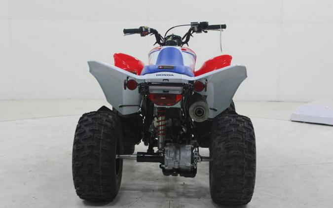2026 Honda TRX 250X