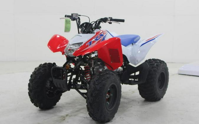 2026 Honda TRX 250X