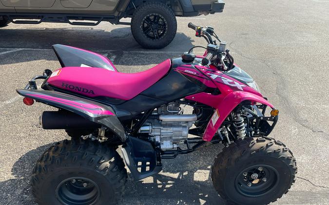 2021 Honda TRX250X