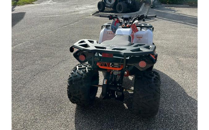 2025 Kayo Bull 125 EFI