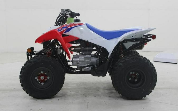2026 Honda TRX 250X
