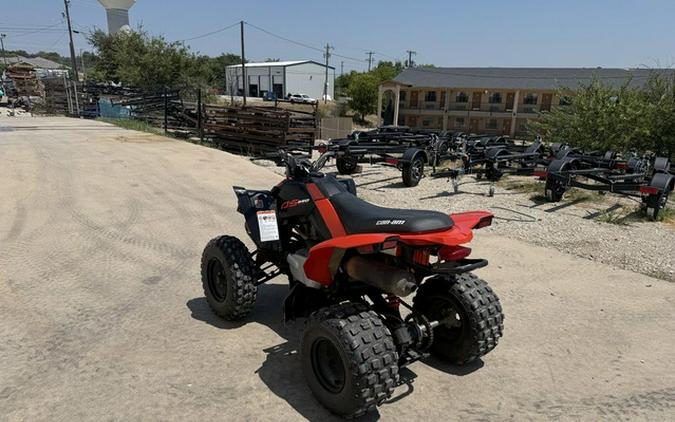 2021 Can-Am DS 250