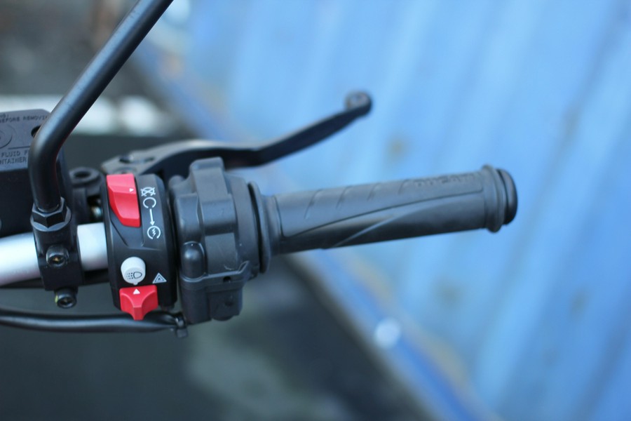 2025 Ducati Scrambler Icon