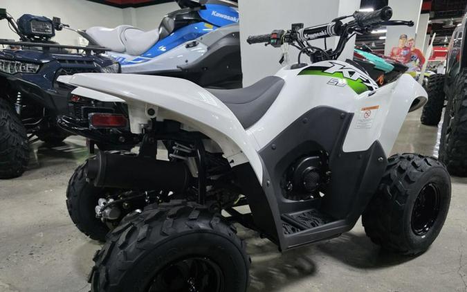 2027 Kawasaki KFX 50