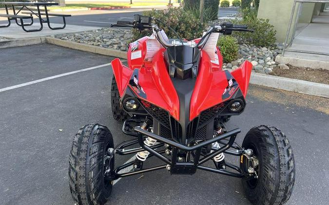 2026 Kayo Storm 300 EFI