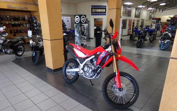 2025 Honda® CRF300L ABS