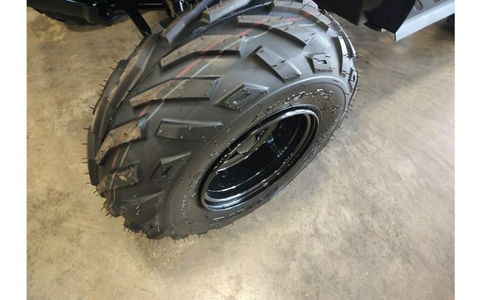 2027 Sportsman® 110 EFI - Polaris