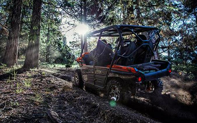 2017 Kawasaki Teryx4 LE