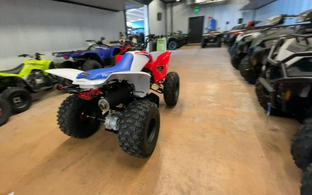 2026 Honda® TRX250X