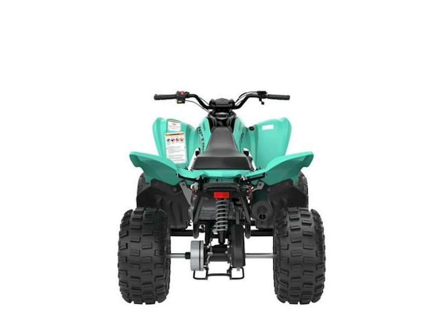 2025 Yamaha Raptor 110