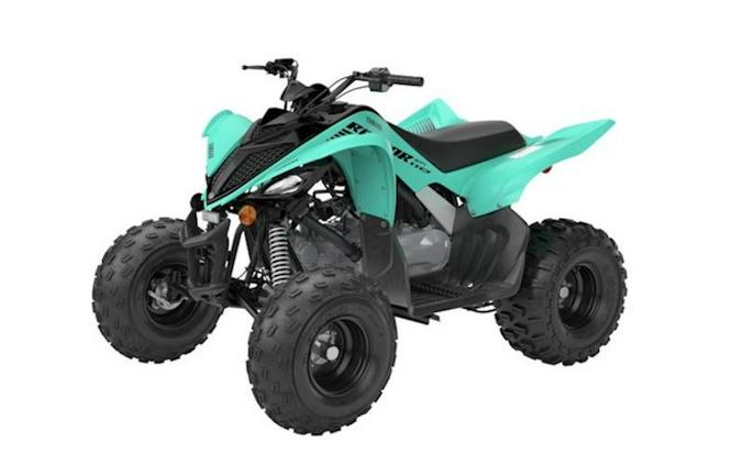 2025 Yamaha Raptor 110