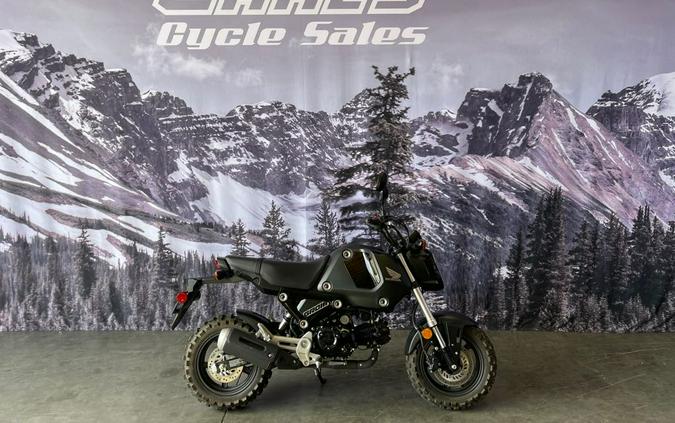2022 Honda Grom Review (A Dozen Fast Facts From Alabama)