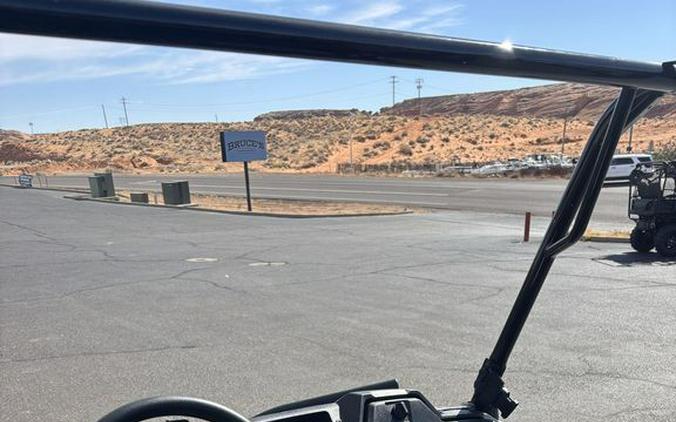 2025 Honda® Pioneer 700 Forest